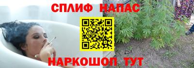 прущие грибы Пугачёв