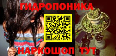 прущие грибы Пугачёв